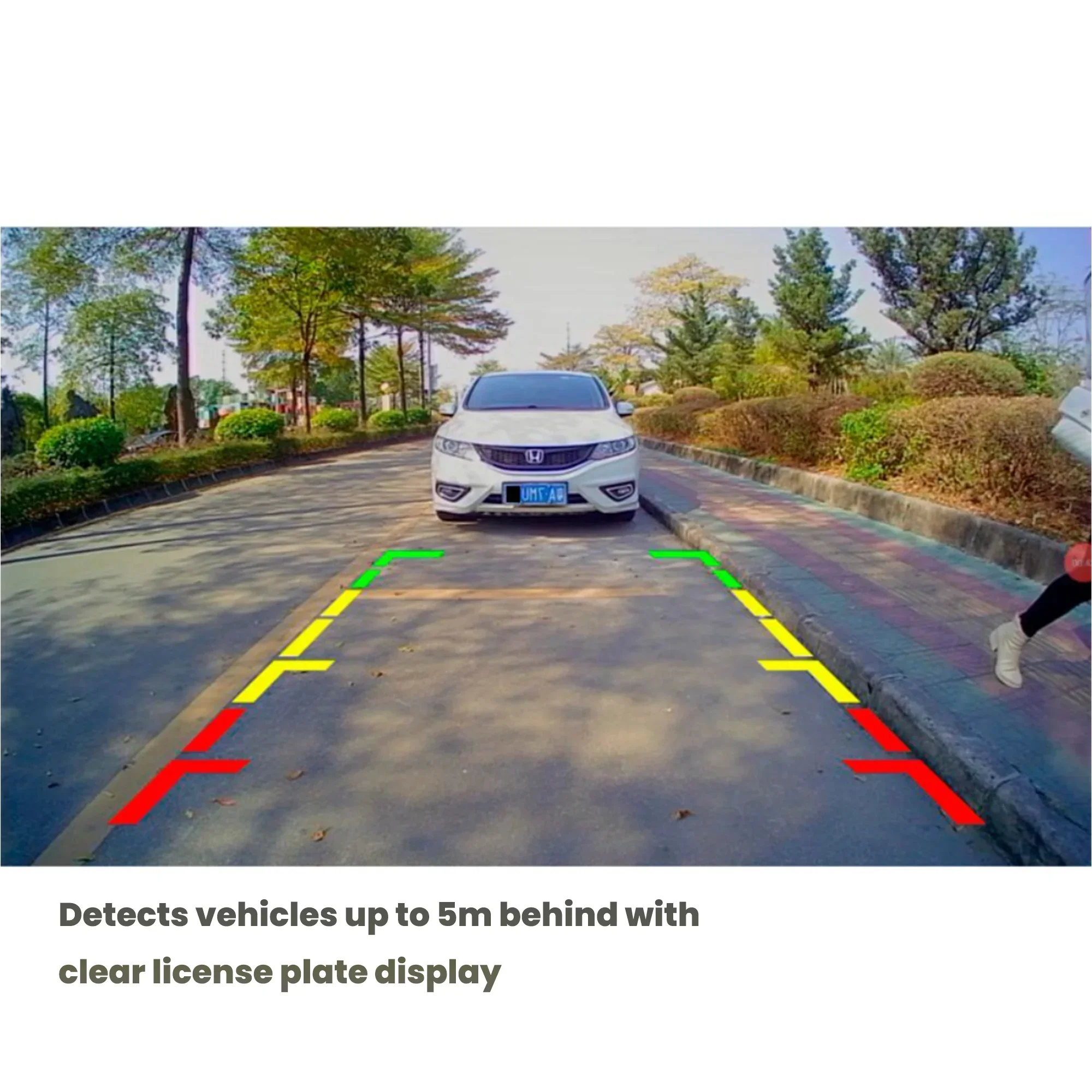 Câmera de visão traseira do ca - 360 Degree Bird View Car Camera System avaliação e preço